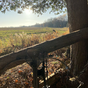 Meet your Posher, Jack